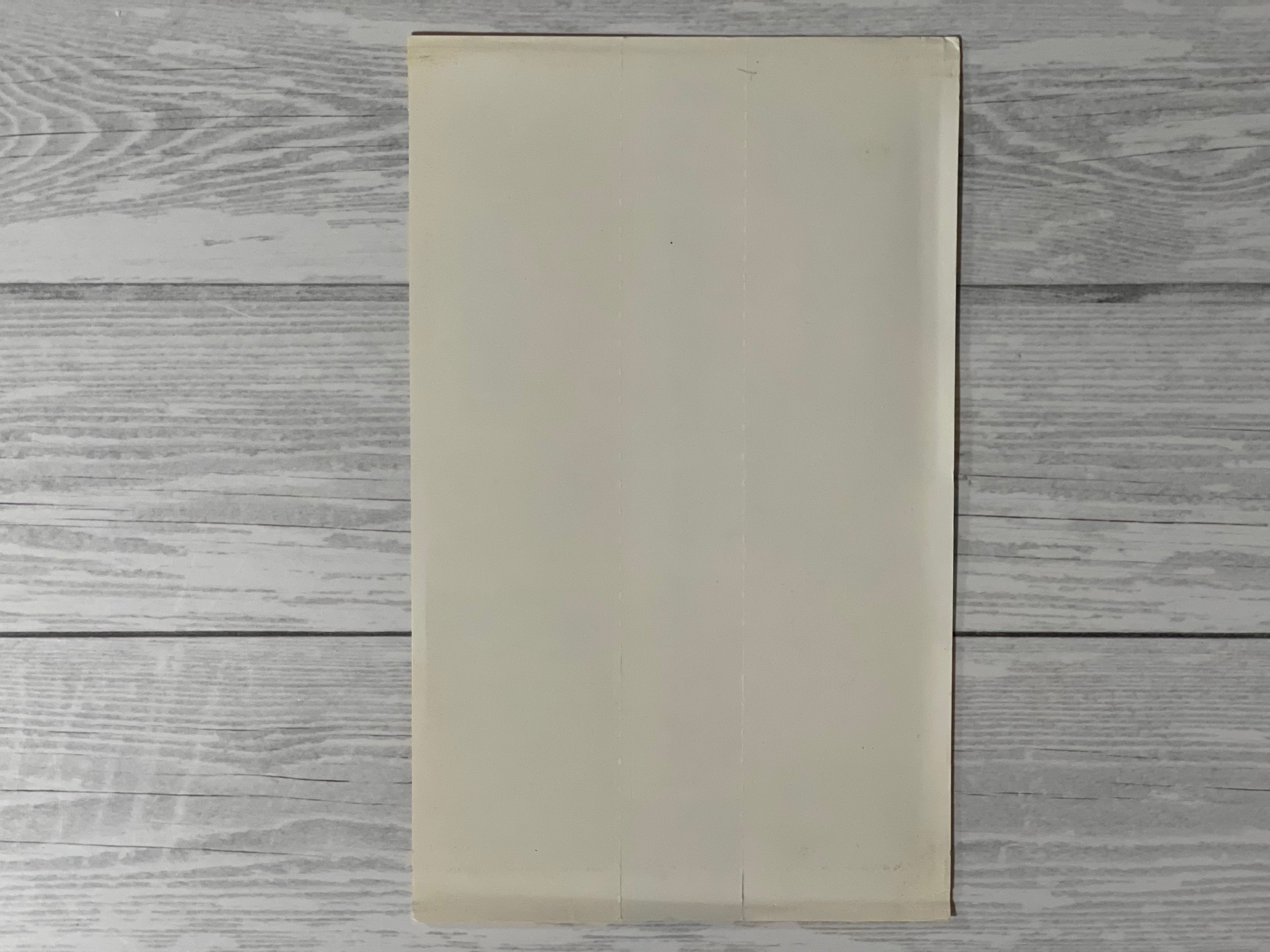 Playstation1 R4 RIDGE RACER TYPE 4