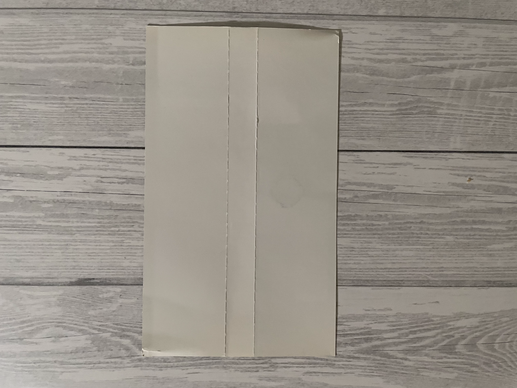 Playstation1 ブシドーブレード弐 / Bushido Blade2