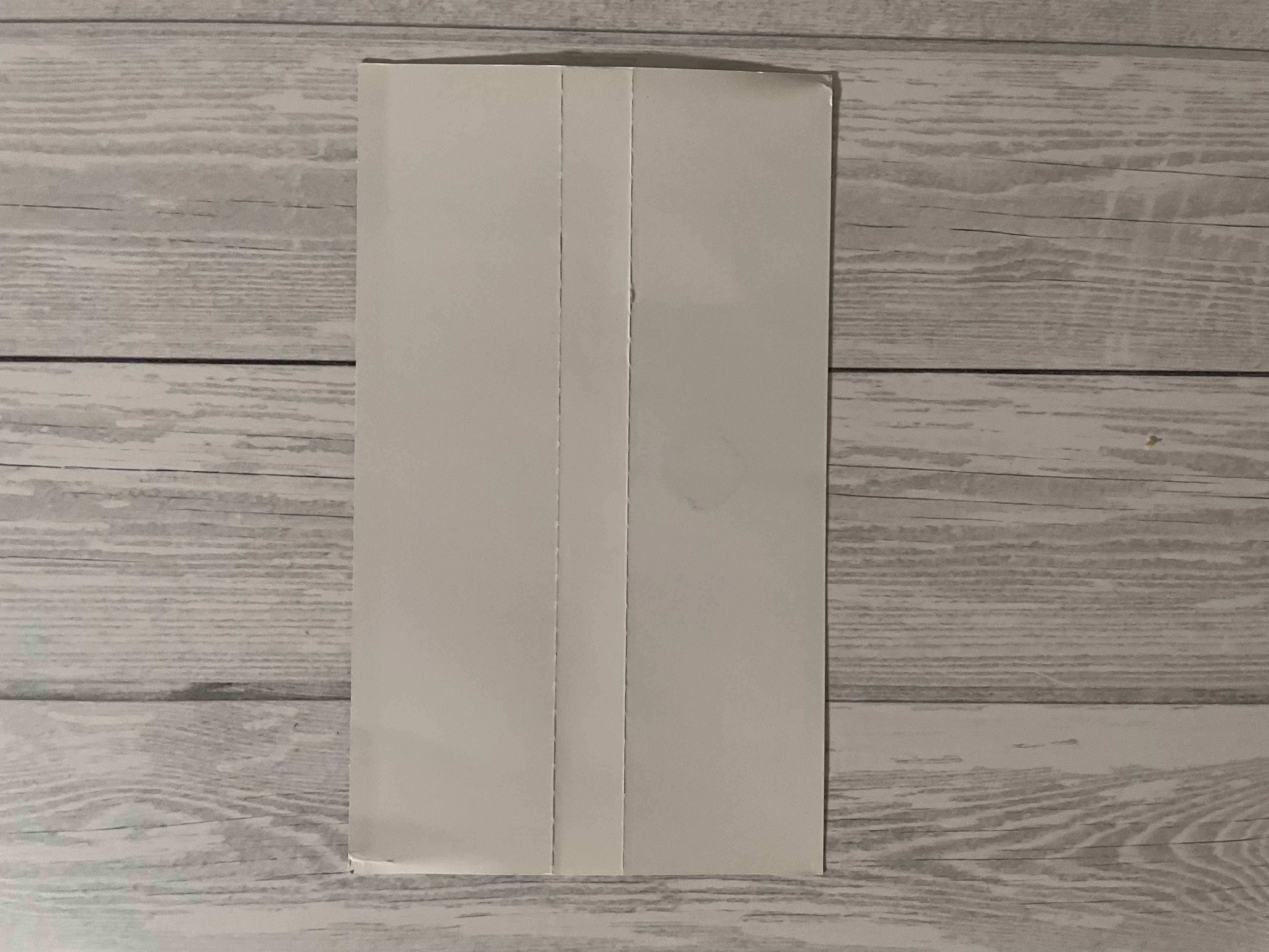 Playstation1 ブシドーブレード弐 / Bushido Blade2